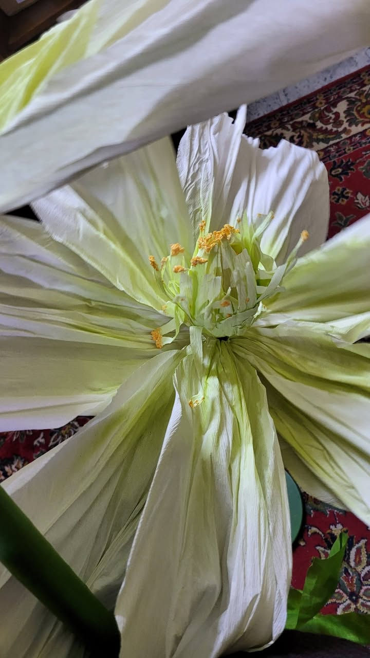 ٣٥


**إذا كنت صاحب هذا الإعلان وتريد حذفه لأي سبب، رجاءا أرسل رسالة إلى الدعم الفني**