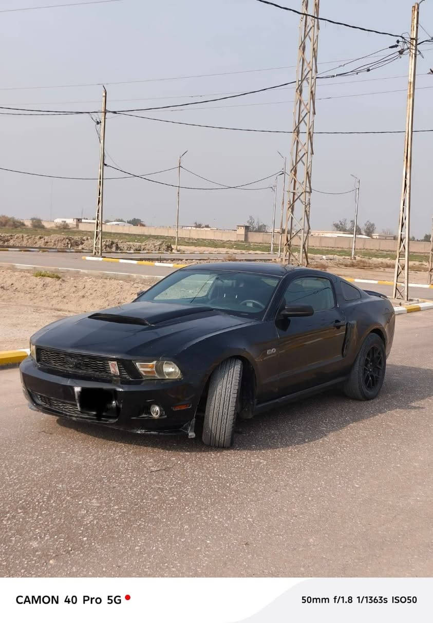 للمراوس بفيولستر
السلام عليكم اقرأ التفاصيل للاخير ياله تتصل لان كلشي ذاكر بالمنشور
السعر 70 وبيها مجال كلش بسيط لان صارف عليها كلش هوايه

موستنك 2010 رقم اربيل وكاله بأسمي 

ماشية 140 الف مايل 

*****الاغراض الجديده الي شادها

1- محرك 4.0 + گير قبل شهرين شديته من عمر ابو الوزيرية 

صيانه وادامه عامه عند علي الصميدعي 

2- ظفيرة مكينة 

3- حداديه 

4- دسكات

5- راديتر ماء

6- دايمنو

7- جوينات

8- فيت بمب 

9- بلكات 

10- نوزلات 

11- مشط جديد

12- باور سترين جديد

13- تخم تاير هايلو قبل يومين شاده 

دواخل السياره جديده كلش 

بيها صبغ 3 قطع ابيع حزام 

بدون ايرباك 

مكان السياره الديوانيه 

-------------------------------------------

نقوصات السياره اذاين مكينة وراديتر التبريد موجود جديد مال كصه مشتري بس تشده 

بيها شخوط بسيطه تحتاج بوليش

ملاحظة*** القماره بيها رصات بسيطه تكرمون چلب صاعد على القماره وعندي تصوير فديو للتأكيد

الاتصال ***********
