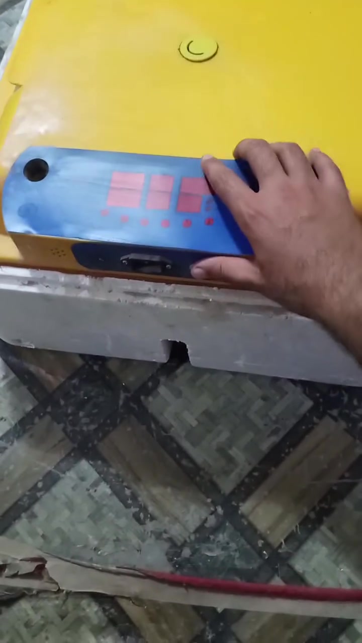 سلام عليكم متاح فقاسه كامله من كلشي الي يريدها بخدمته 
تاخذ 48بيضه


**إذا كنت صاحب هذا الإعلان وتريد حذفه لأي سبب، رجاءا أرسل رسالة إلى الدعم الفني**