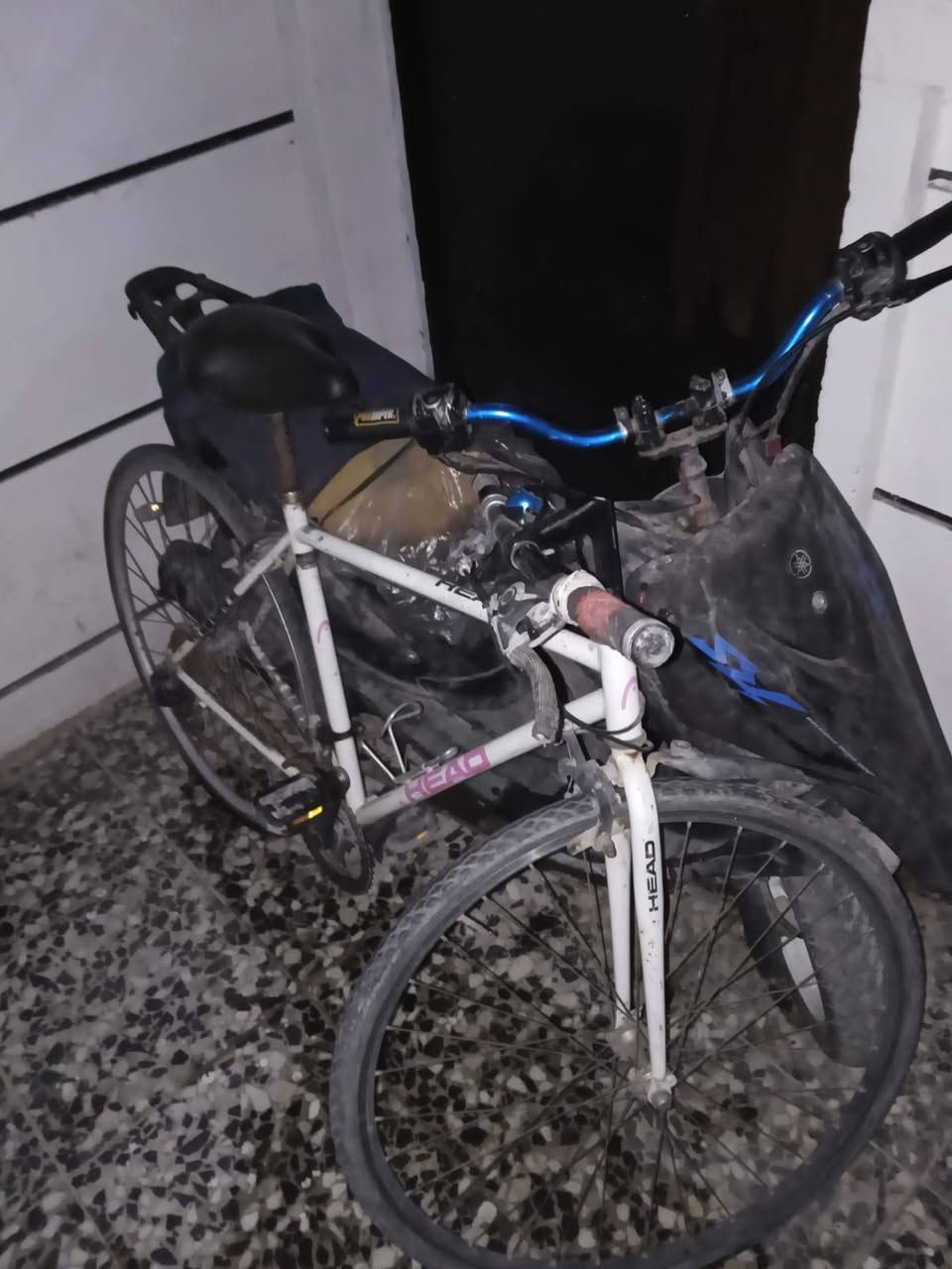 السلام عليكم دراجه ستين عصفور مال لعب سكان رياضي لويل الامامي رياضي ابو النجمه الكفر مال عدله شغاله يرادله صونده للفايكو مال بانزين وبنجر بل تاير وباسكل وياه بي بنجر ثنينهم ب ١٥٠ وبيها مجال 
***********
الغزاليه
