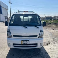 بونجو حمل • ٢٠٢٥ • اربيل