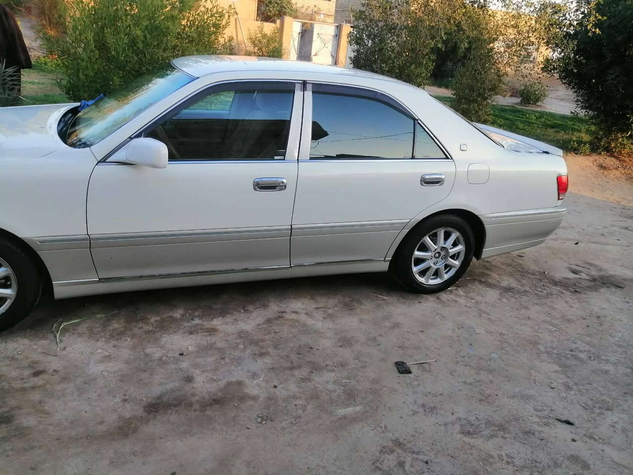 ملكه اصولي استفسار عل رقم *********** باقي التفاصيل عل رقم
