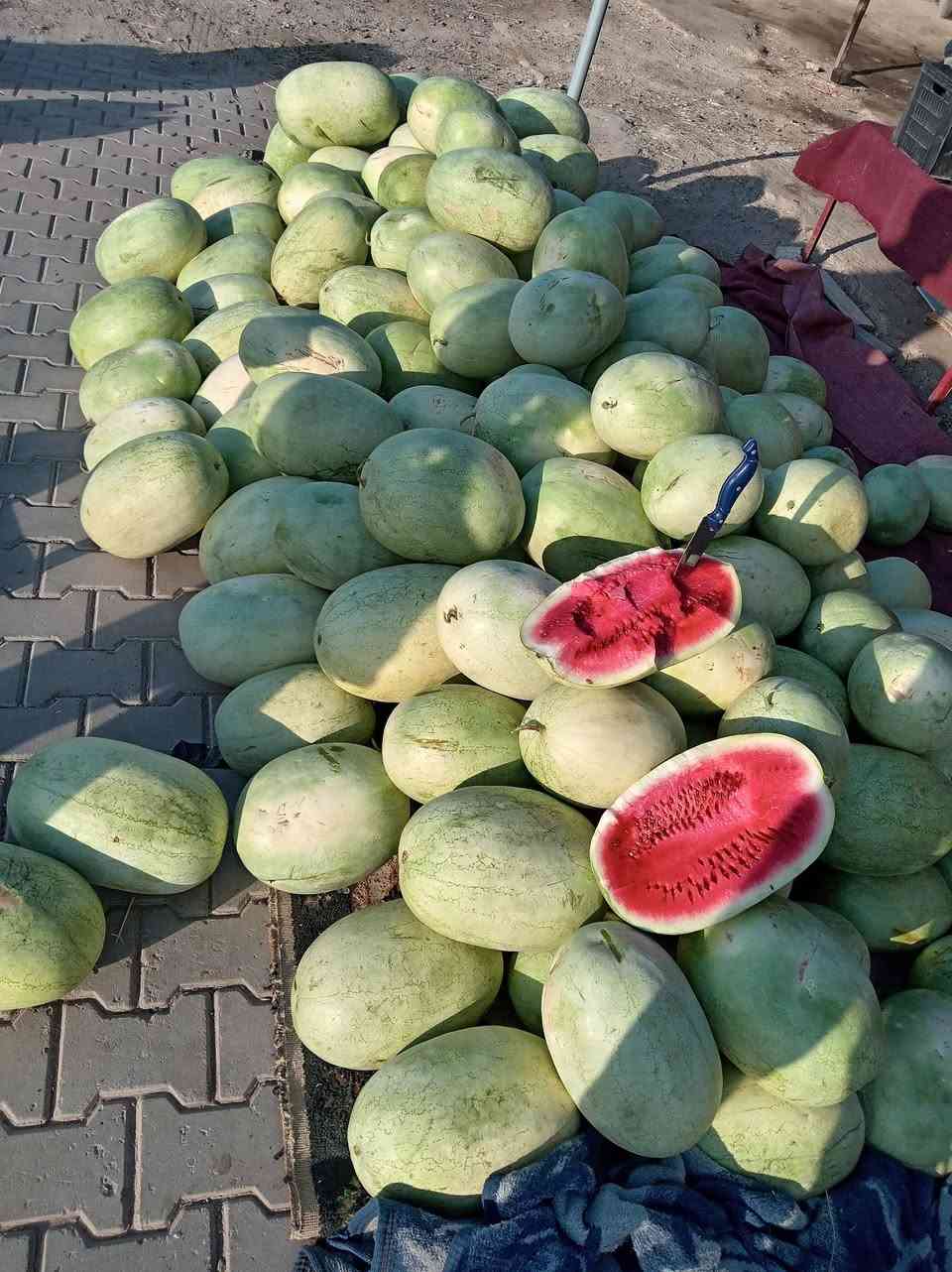 رگي جديد درجة اولئ جديد وشرط ب 450 حمار وحلاة
رگي جيل الطيبين
وخيار قلم ب 3 ب 2000
بطاطا 3 كيلوات ب 2000
انواع البصل 3 كيلوات ب 2000
باذنجان اسود 3 كيلوات ب 2000


**إذا كنت صاحب هذا الإعلان وتريد حذفه لأي سبب، رجاءا أرسل رسالة إلى الدعم الفني**