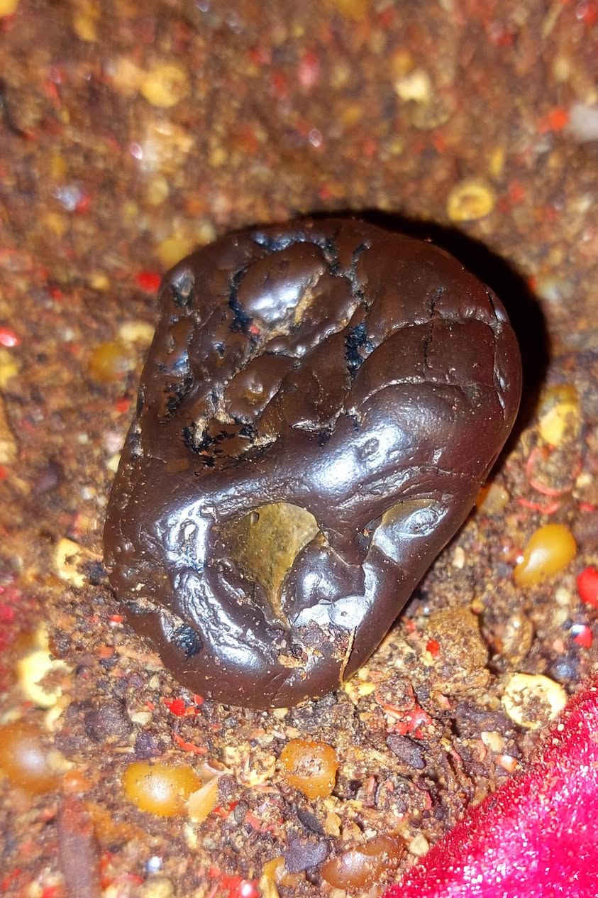 #هبهاب  نوادر الهبهاب الفريقي  مصور وذو طاقه عاليه روحانيه هائله فووول الفول  مروحن وجاهز حسب القواعد الروحانيه الخاصه بالهبهاب مال مزامط  شغل جوكر 🃏 عام  ينختم مع طلسم خاصه بي منكل نسائي رجالي مال مزامط  داخل الرقم والاستفسار  ***********☎️
#فوائد  #الهبهاب #بصوره #عامه    🌶️🌶️🌶️🌶️👉 

الهبهاب  الاصلي        🥀🥀🥀🥀🥀🥀🥀 🥰🥰
1للمجاه والقبول على السلاطين 
2🥀محبه وقبول جلب القلوب عالنضره  عام 
3🥀عكد السان مهابه تسهيل امور 
🥀4جاه وجه تسهيلات عامه............ شغل عام جوكر  🦀🦀
🌹 5سلب راده ضد الضالم  لجم
👈6فوائد الهبهاب بصوره عامه شغل عام 🌶️🌶️شتغله🤙🤙🤙🤙 
💃🕺7تهيج مابين الزوجين طاعه وقبول والموده مابين الزوجين  يتفعل
 👯8جلب وقبول مابين الحبيبين وطاعه والموده    
 👈#لاا عمل  الا برضات الله وخادم الكم 👉
داخل الرقم وللاستفسار السماوه يوجد توصيل 

***********    ينختم سبع ختمات صابئي 🤳🤳🤳🤳✌️✌️

✌️مختصون ومتمكنون بجميع الاحجار الربانيه والاحجار 🤙المروحنه والطاقه باذن الله🤟🤟🤟🤟🤟 
متمكن بجميع العمال الروحانيه الخاصه بجميع الاحجار 
✌️خبير بالاحجار المروحنه والطاقه متمكن بها 100 بل 100 🤟
بفظل الله  نحن اهلها بهذا المجال
