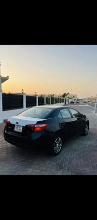 فقط مراوس سنويه وهزه جديده  تفاصيل داخل سونار  ٠٧٧٠٧٩٢٨١٢٣