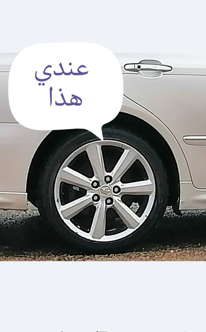 عندي تخم ويل كب دنكه وياه تخم تاير
 مال شاهينه واريد اراوسه بويل كب مال شاهينه العادي مع تايراته مكان سماوه للاتصال***********
