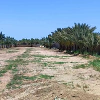 دونم ونص • واجهة ٢٤م • كربلاء الزبيلية