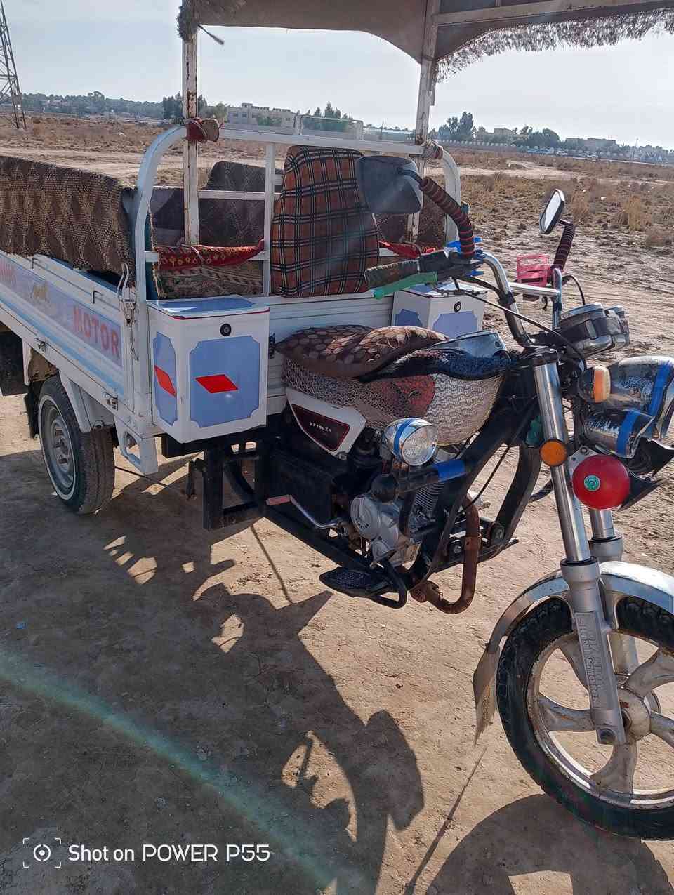 ستوتة للبيع  2021//1500 ////
***********
