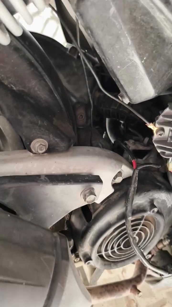 متاح دراجه سكنس فحل فول مواصفات دراجه رزنه. مفوله مكان بغداد مدينه الصدر السعر 700 الاستفسار ***********
