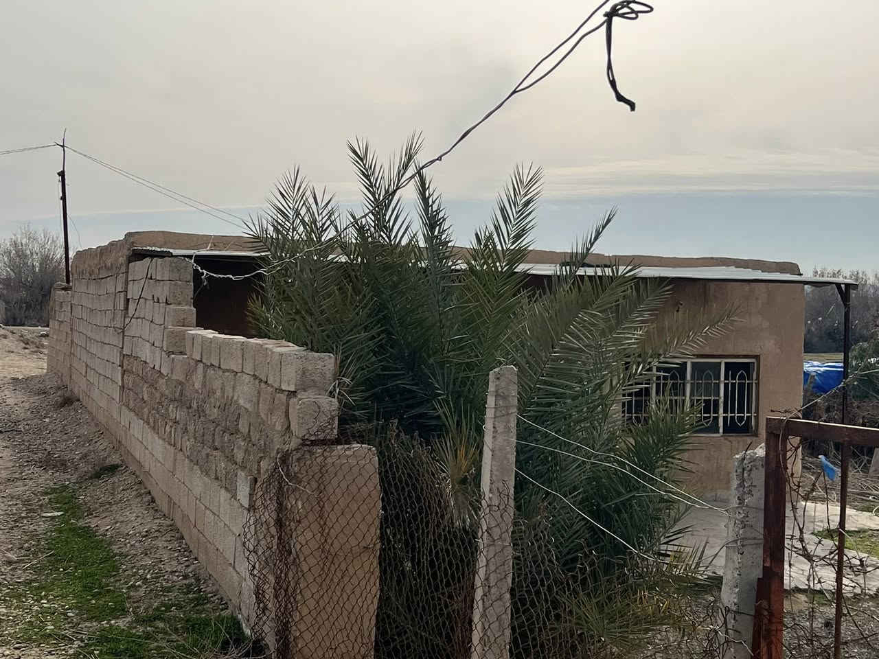 السلام عليكم
محتاج فلاح مزرعه كامله من حمضيات ( برتقال رارنجي ،لومي حامض عراقي ) . ونخل (خضراوي ،زهدي،خستاوي،سكري )حمال وعنب(حلواني )في صلاح الدين تكريت منطقة البوعجيل للتواصل ***********
