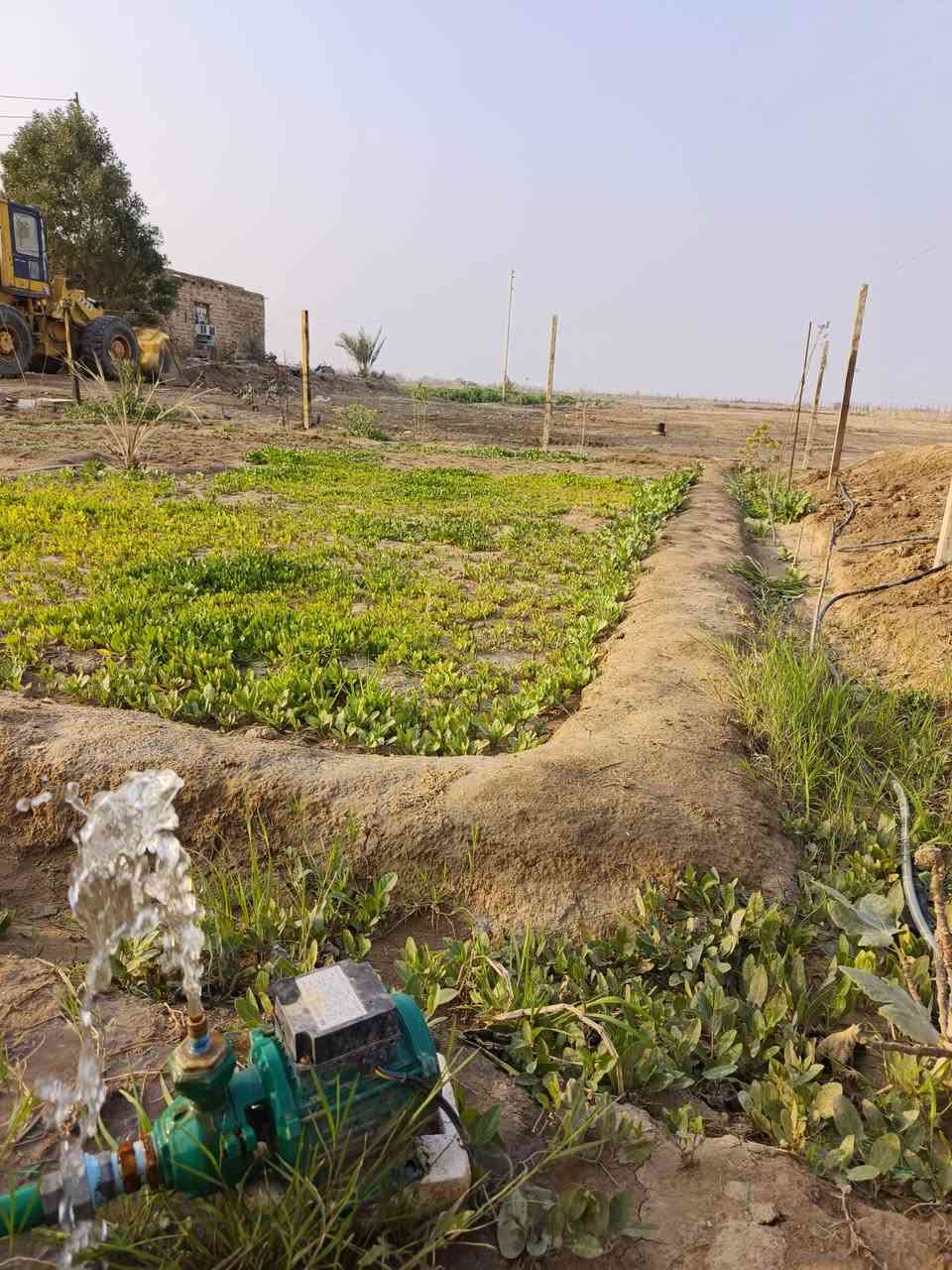 💯💯
دوانم زراعيه للبيع.

طريق السنية السياحي بنزلة البو حي الله 
تبليط فرعي يبعد 200 متر
   متوفر    ماء. +كهرباء 
نضام تقطير وسقي
موقعهن مرتب يفيد مزرعه ويفيدن للسكن
💯👇
          ( دوانم ثنين 
            + 1800 متر
             +1000 متر ) السعرر خاص 
خدمات كاملة. 
سند 25 مداور مباشر ب اسم المشتري
للاستفسار الاتصال عل الرقم *********** 
او مراسلة الصفحة 💬
