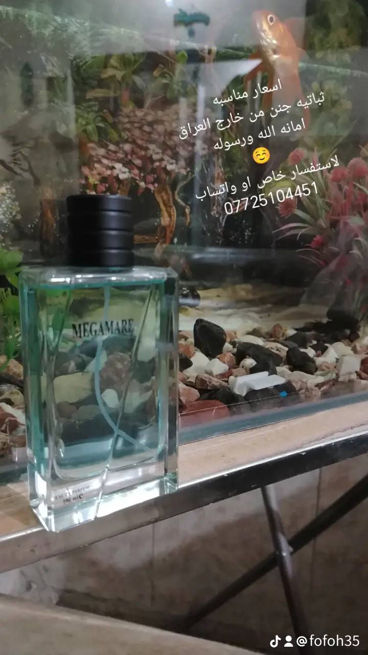 سلام عليكم
فاتحه مشروع جديد واسعار مناسبه ثباتيه جنن
امانه الله ورسوله لان من خارج العراق بس الأسعار مناسبه لان مو محل وايجار ف اسعار فوحان يجنن

***********
واتساب أو محمول
