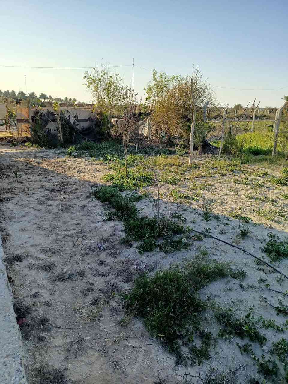 يا الله للبيع دار طابو زراعي سند 25المساحه 500غرفتين نوم وهول ومجمع صحيات الستقبل والمطبخ بتلو ماكاملات ورديه خارج شارع المشجر قريب على معمل الغاز السعر 60وبي مجال ابو مصطفى للعقار ***********☝☝
