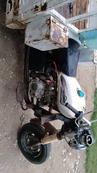 ستوته • قضاء الصويرة • للبيع