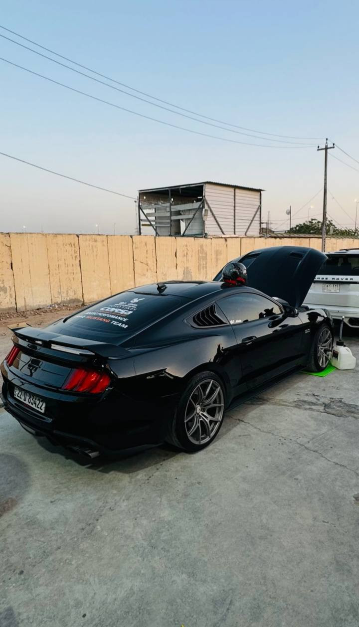 موستنك (بي فورمنس بكج )السيارا فول الفول  برميوم يعني 1/1 لون اسود

فدوة اقرا المواصفات و كلشي كاتب 

رقم اربيل

موديل 21

السيارة GT  مكينه 5000 كير عادي 6 نمر سيارة دجتال عليها تفريغ وبرمجة فقط اكتف كزوز بلادي يفتح ويه الوضعيات أو انت تفتحه وتسده من شاشه كشنات كهرباء جلد تدفئة تبريد ستيرن تدفئه رادار امامي جانبي اشاير بالمري سيارة فول للاخير

(سستم صوت بلادي بي ٢٤ سماعة 🔊 ودمام خلفي بل صندوك ) و بيها خير من الله سوالف و تفاصيل 

السيارة ماشاءالله بيها سوالف كلش حلوة بيها سقف رولز رايز وعليها لد عين الشيطان متغير ودعاميه امامية mach1

السيارا طلقة بمعنة الكلمة صاروخ 🚀 
سيارة حادثها بامريكا فقط  سرقه دعائمه وجاملغين  بدون ايرباك بالعراق بيها طخات نصبغت احزام  سعرها (188) وبيها مجال  واي شي نقص ينزل من سعرها مكان سيارة كربلاء للاستفسار 
‏‪0776 622 8906‬
‏‪0781 760 9654‬‏ وتساب
