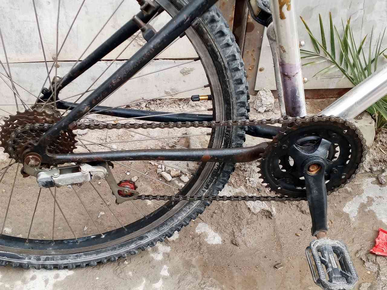 السلام عليكم ورحمة الله وبركاتة عندي هاذا البايسكل للبيع تمانت الله كلشي ما بيه
اعلا سعر ابيع الرقم بي واتساب ***********
