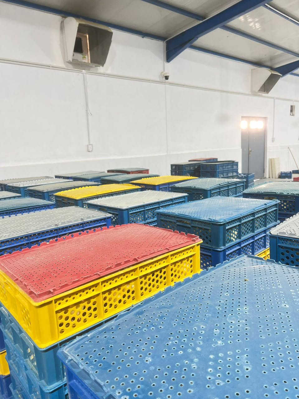 بسمِ اللهِ ماْ شاءَ الله تَعالى 🌿🤲

اليوم تم تلقيح وجبه افراخ لحم 🐣🐤
  

بتأريخ  15 / 2 / 2026

بادارة كادر الثقه

نعمل بأنسب الأسعار ودقه في العمل

مستعدين لتلقيح كافه الوجبات اللحم والبياض والتجنيس

للحجز والاستفسار التواصل على الرقم  ***********
‏‪0 770 467 4564‬ بادارة ابو حيدر
او مراسله الصفحه

والتوفيق للجميع أن شاء الله تعالى 🙏❤️
