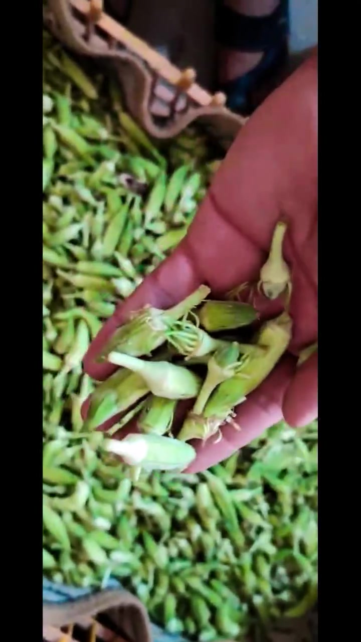 لايوجد توصيل *********** تواصل
