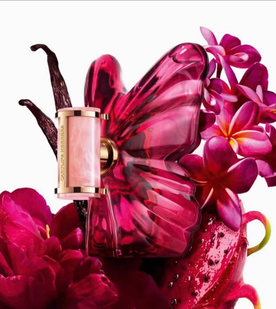 عطر لامبوبا الجديد 🩷

أنوثة هادئة بس أثرها ثابت
لا بومبا من Carolina Herrera توازن ناعم بين الانتعاش والزهور والدفء، يكمّل حضورك ويترك انطباع راقي بدون ضجيج.
للي تحب الأنوثة الواضحة والبسيطة.

للاحجز دايركت -***********📞

توصيل يتوفر كل مناطق 🚛محافظات🚛

  📍بابل-الحصوه -خلف مرطبات التفاحة-شارع الاول -كوزمتك الزهور

#كوزمتك #اكسبلور_فولو #عطور
