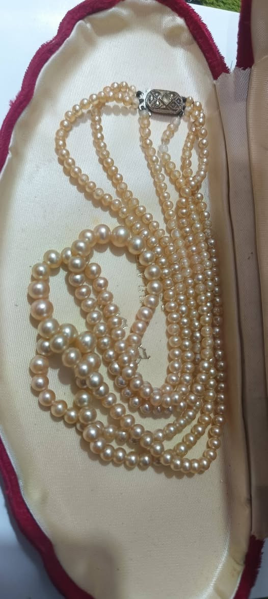 قلاده نسائيه
ما اعرف لؤلؤ  او لا 
قديمه جدا عندي ما ملبوسه


**إذا كنت صاحب هذا الإعلان وتريد حذفه لأي سبب، رجاءا أرسل رسالة إلى الدعم الفني**