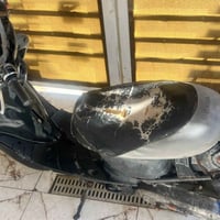 منغولي 60 • معدل فول • يحتاج كفرات