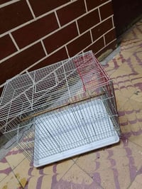 قفص • حيوانات زينة • حي الاعلام