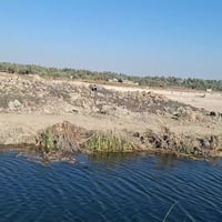 طريق الابراهميه • ٤٠٠٠م • طابو زراعي