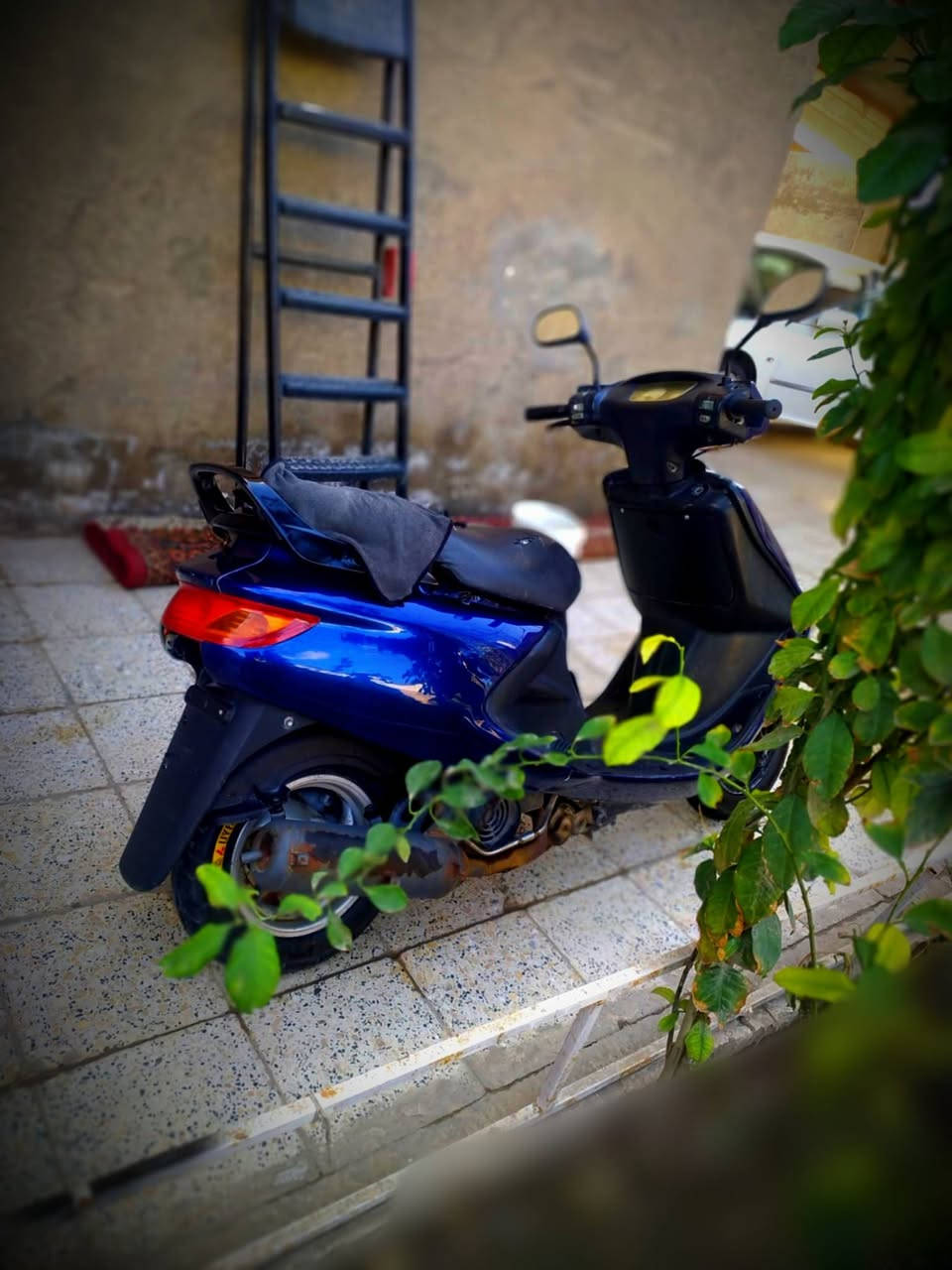 سلام: عليكم 
دراجه:للبيع 
دراجه:نضيفه 
مكاني :الحله 
السعر 300 وبيها مجال 
الرقم الهاتف:***********
          (الشراي يتصل غير موجود علئ نت )
