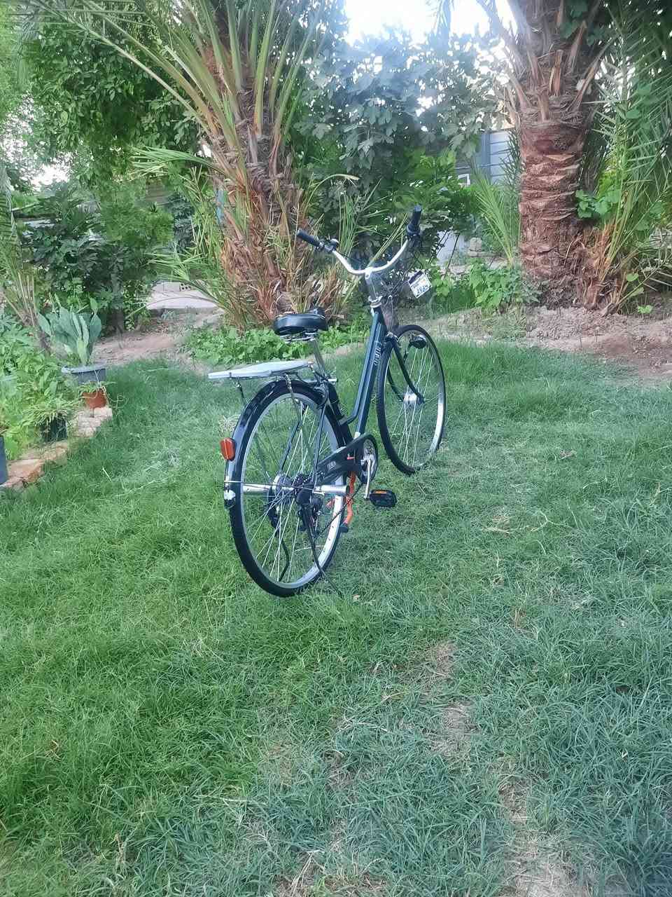 سلام عليكم باسكل للبيع موديل 2019الباسكل ياباني اصلي حجم 27 السعر130وبي مجال العنوان بابل ابو غرق خابرني وبيك خير وتدلل ***********

