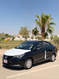 شانجان السفن • ٢٠٢٤ • كركوك