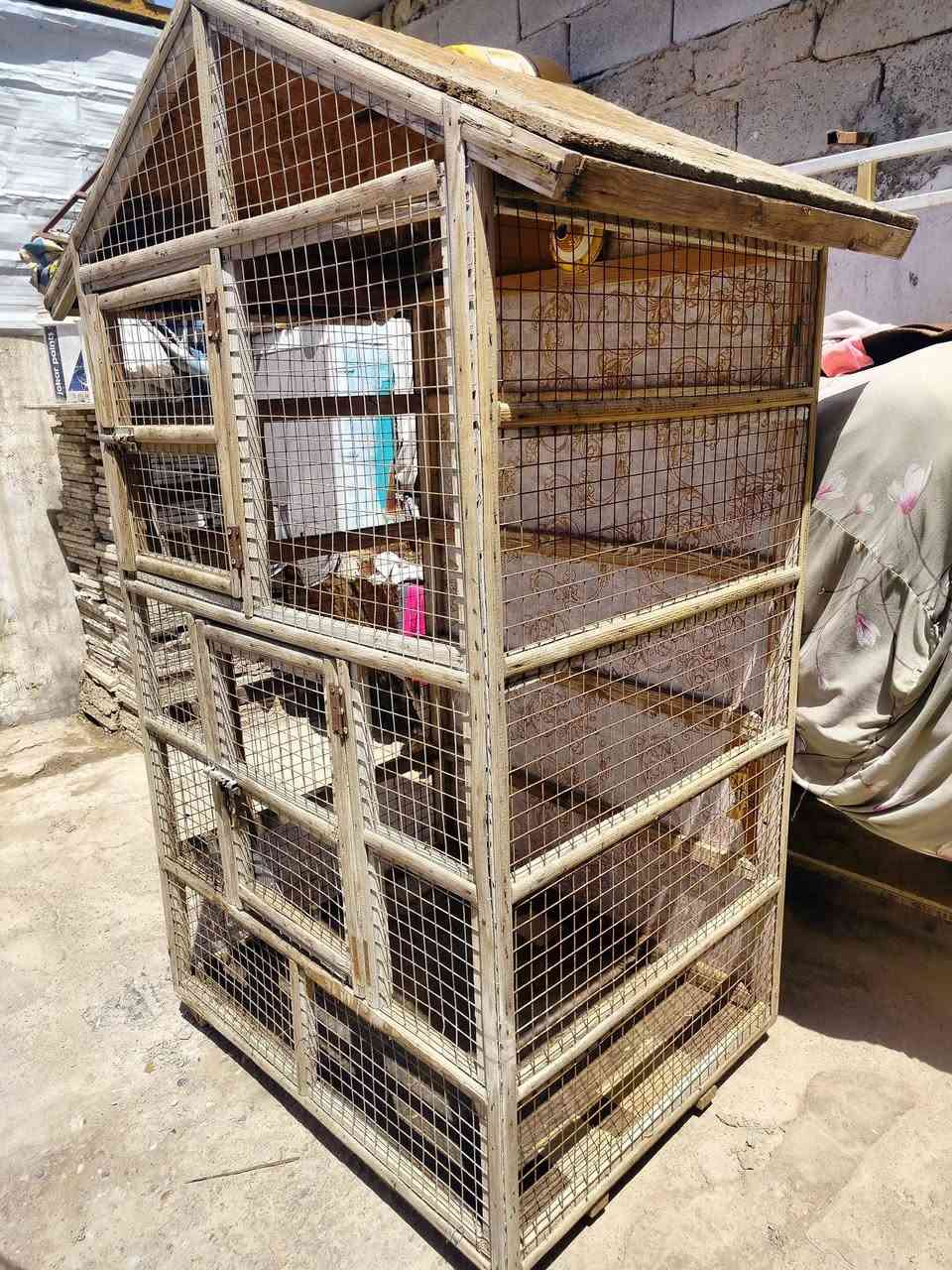 قفص لبيع لعنوان/ ميسان العمارة منطقة الماجديه لتواصل على الخاص او واتساب وهذا رقمي *********** Singapore
