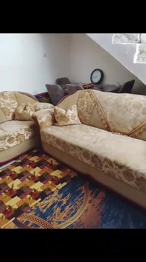 تخم لبيع السعر 200بي مجال


**إذا كنت صاحب هذا الإعلان وتريد حذفه لأي سبب، رجاءا أرسل رسالة إلى الدعم الفني**