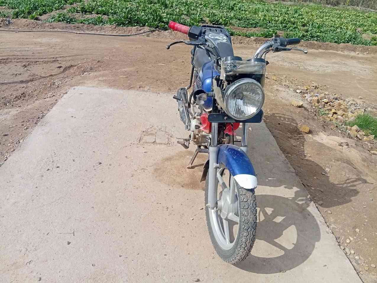 سلام عليكم بوكسر للبيع اوراق موديل 20 مكان حله الشراي ايطب خاص او بي خير اواني خادم


**إذا كنت صاحب هذا الإعلان وتريد حذفه لأي سبب، رجاءا أرسل رسالة إلى الدعم الفني**