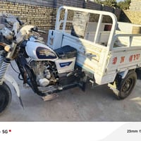 ستوته • وراق • ٢٠١٨