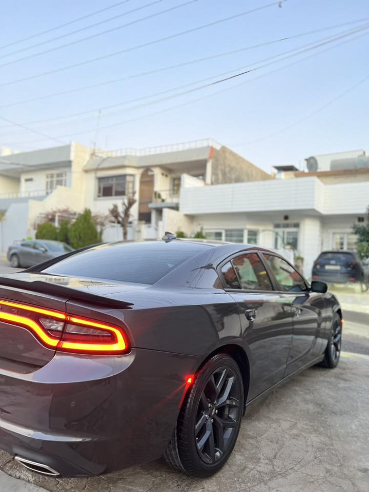 دۆج مۆدێل ٢٠٢٣ بێ بۆیاخ نمونە لە جوانی بدون سبخ بێ ئێرباگ بدون ئرباگ ٣٥ مایل رۆشتووە سعری 219 قفل *********** واتس ئاپ
