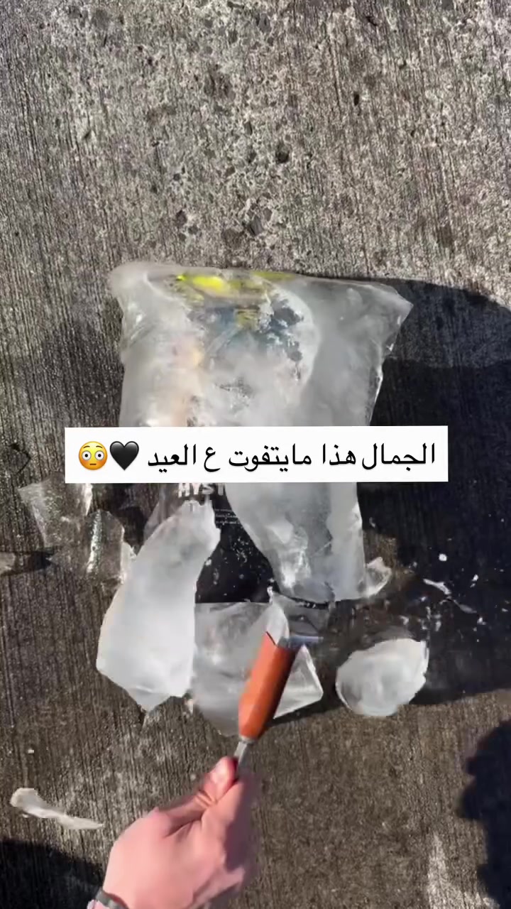 اطلب قطعتك قبل العيد 🖤‼️


**إذا كنت صاحب هذا الإعلان وتريد حذفه لأي سبب، رجاءا أرسل رسالة إلى الدعم الفني**