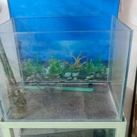 حوض سمك • ٥٨×٤٥×٣٦ سم