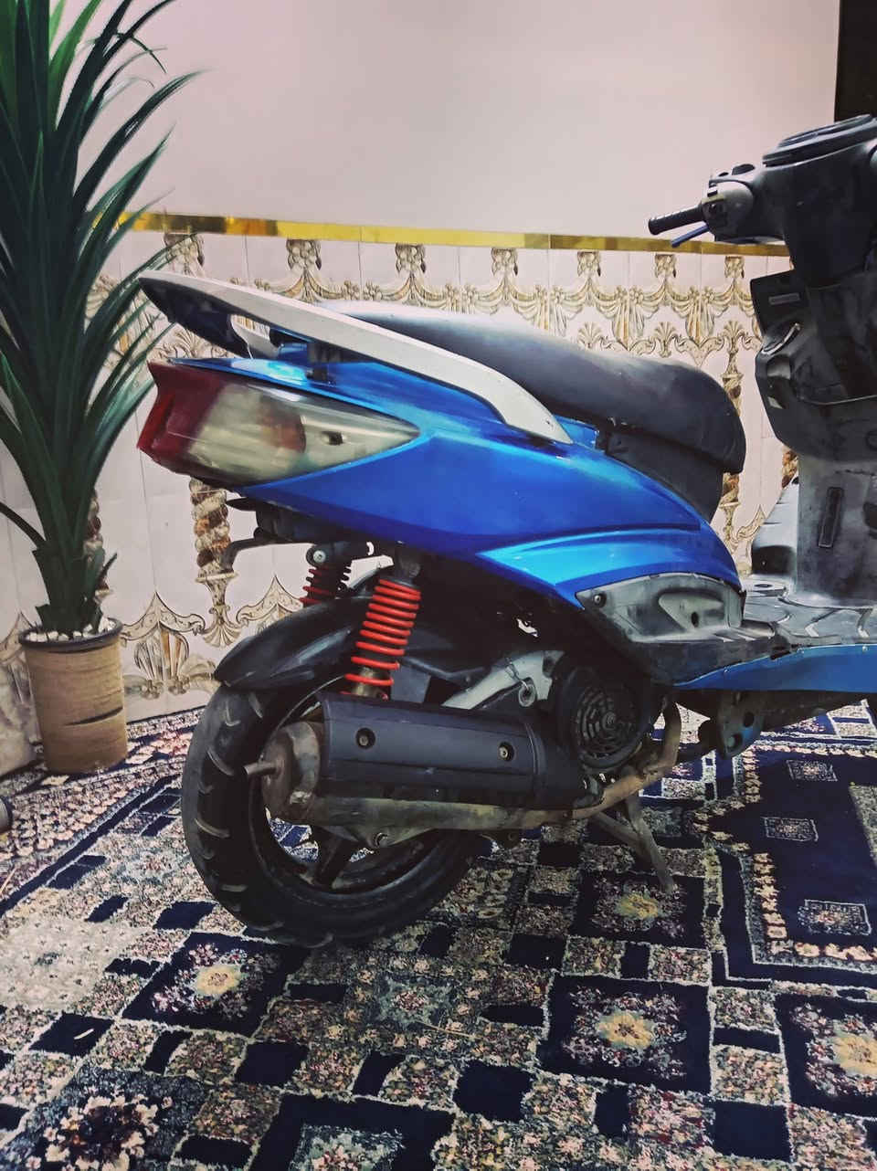 سلام عليكم سكنس فحل الدراجه مكفوله من المكينه والكهربائيات وشلعه ومعدل ✅ والبجم مالهة موجود نقصه فقط قبق هندر مكاني بغداد البلديات السعر 450الف رقمي. *********** فقط واتس
