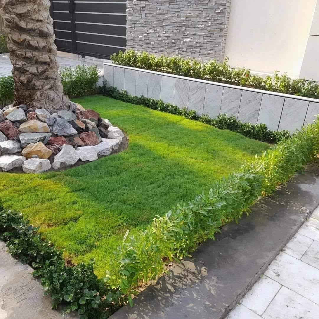 🍃مستـعدون🍂 عمل كافه ديكورات حديقه ، لـترتيب🐦 الحدائق المنزلية 🏝️🏘️ومنظومة المرشات والتقطير
وزراعة النباتات، 🌾🌴🌱والازهار، 🌼🌺🌻وقص الثيل.
أعمالنا مستمرة دائماً ونسعى لإرضائكم ❤❤🌲🌲 
عالم الحدائق تصميم وترتيب الحدائق  .
مستعدون تقليم. وترتيب الاشجار. 
بطرق جديده وحديثه وتزويد الثيل بالأسمده المفيدة 
وعلاج لأشجار مريضه وبأاسعار مناسبه.
الاتصال او الاستفسار ...وتساب
***********
