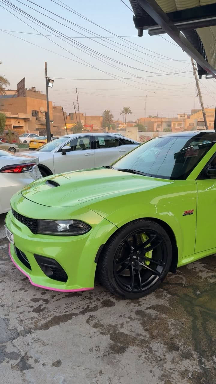 جارجر سكات باك وايد بدي أصل 2023 Last call
لون تفاحي مميز للبيع :

ماشيه 19500 ميل بالعراق فقط 4500
السياره رادار أمامي وباقي المواصفات المعروفه عدى الفتحه
عليها هدرز وبرمجه من امريكا +500hp
وسقف روز

رقم بغداد مميز على حجم المحرك (6400) سعره 7500$

السياره بدون ايرباك
حادثها خلفي جنطه وجاملغ خلفي عكس السايق صبغ
+ السياره مرشوشه اربع قطع كلير من امريكا (كلير نظيف) وتكدر توكع الكلير لان نظيف واثر شخوط خفيفه
السياره ابيعها ويا الرقم او بدون 

للتواصل : ***********
