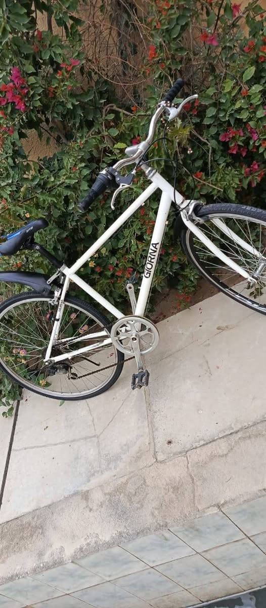 بأيسكل رياضي باله #ياباني ماركة جيرونا 
#التفاصيل📲 اتصال *********** 
#مكلف #بالنشر
