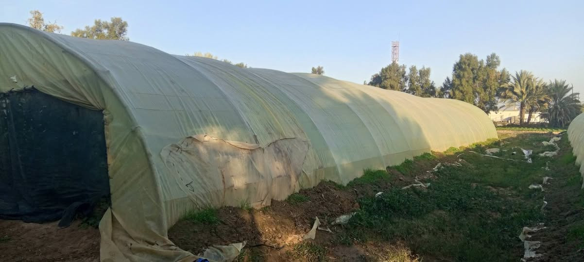 مرخصت الأدمن سلام عليكم للبيع بيوت بلاستك العدد 3اردني  نضيفات  المكان بابل جبله   رقم تلفون ***********
