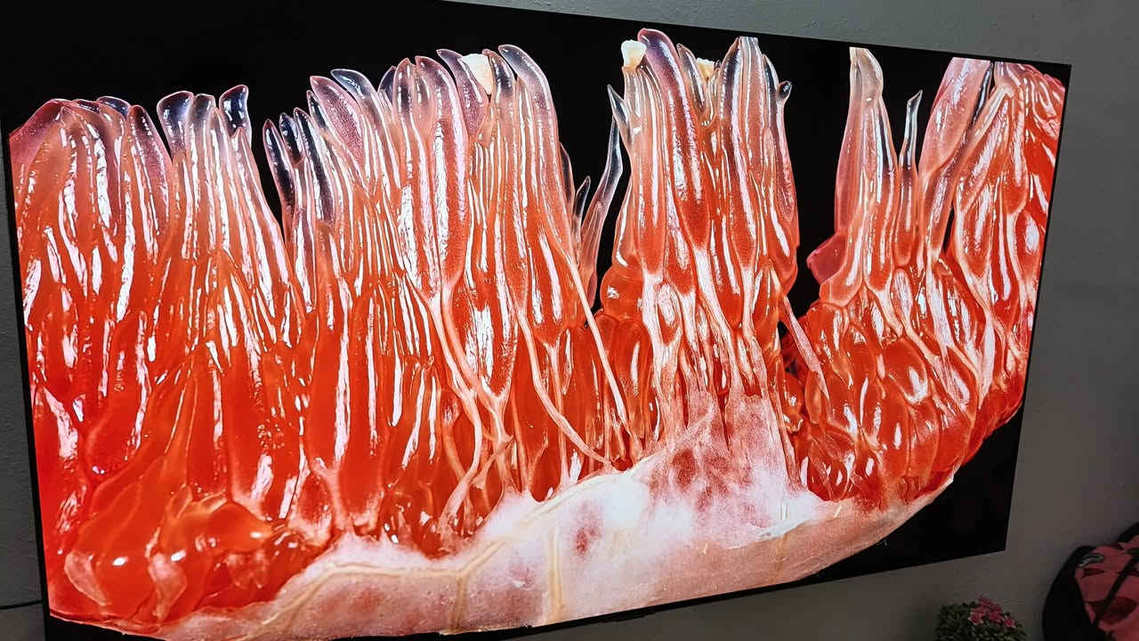 Lg oled c3 65 inch
للبيع مكاني نجف الشاشة نظيفه تاريخ الشراء قبل سنة 
مدة الاستخدام ٥ أشهر كساعات تشغيل 
سعره مليون و٢٥٠ ألف 
هذا رقمي ***********
