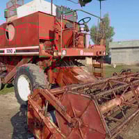 السلام وعليكم حاصده للبيع جاهزه للحصاد امعمره الشراي يتصل 07824166545