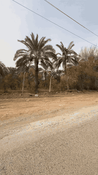 07711511911/                      ‭   0772 806 0015‬  للبيع