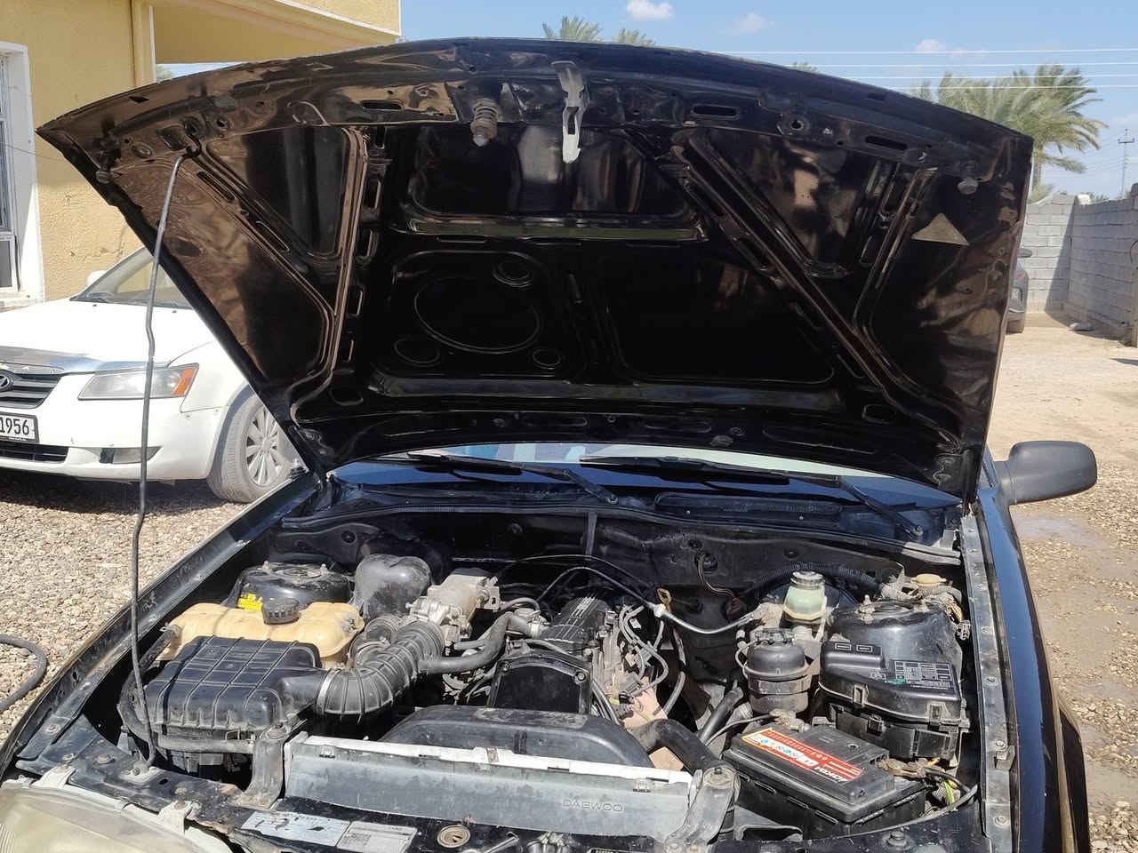 السلام عليكم برنس فراشه موديل 1996

سنويه بااسمي تحويل مباشر رقم ديالى  انكليزي 

محرك لاتبخير ولاتنقيص جديد كير اكسل كله جديد 

سياره بلاديه صدر امامي خلفي كله جديد 

كهربائيات كلها شغاله تخم حت جام اربع بوب 

دوشمه جديده بطاين جديده بوب خارج وداخل كلها شغاله

سياره ادامه كامله نوزلات بلكات فيت بم 

مكان السياره الانبار الفلوجه الكرمه 
*********** 
للتواصل 
غير متواجد ع فيس 
السعر / 35 وبيها مجال
