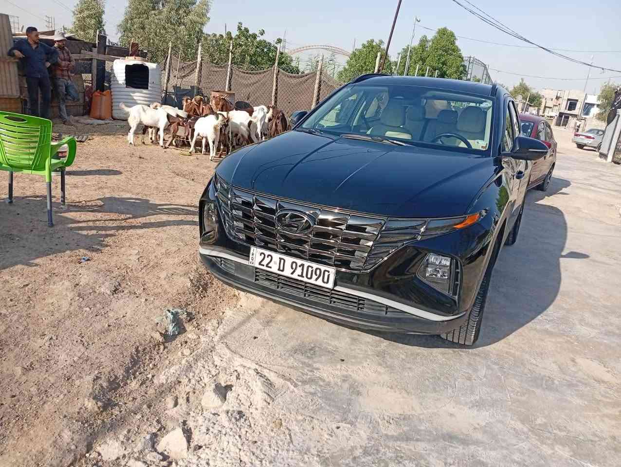 سعر (163) وبيه مجال
توسان موديل2023 وارد امريكي بدون ايرباك
رقم اربيل 
محرك 2500
المواصفات
  / كشن كهرباء
جنطة كهرباء  / هندبريك دكمة
مود درايف / اوتو ستوب
تدفئة بالكشنات  / تبريد قطعتين خلفي وأمامي 
نظام HTRAC / رادارت
شفتات ستيرن / رادار نقطة عمياء
تشغيل عن بعد  / تدفئة ستيرن
رقم اربيل بسمي سنويه هزه جديده
***********
