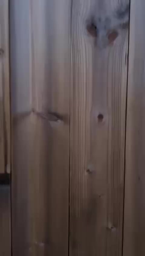 المزرعه للبيع العنوان بغداد الدوره البوعيثه ركن بمساحه 3600 متر دونم ونص سند 25 طابو زراعي
كامله خدمات ركن مباشر ع سده

  واجهه 30 النزال 105.  

دار سكن 176 متر غرف 2 صحيات اضافه صاله استقبال

  مسبح 50 متر 5-10.

   حدائق اثنين واسعات

  طريق  داخل المزرعه مقرنص جلسه خارجيه

  معروضه #للبيع_او_الايجار 

   *********** واتساب
