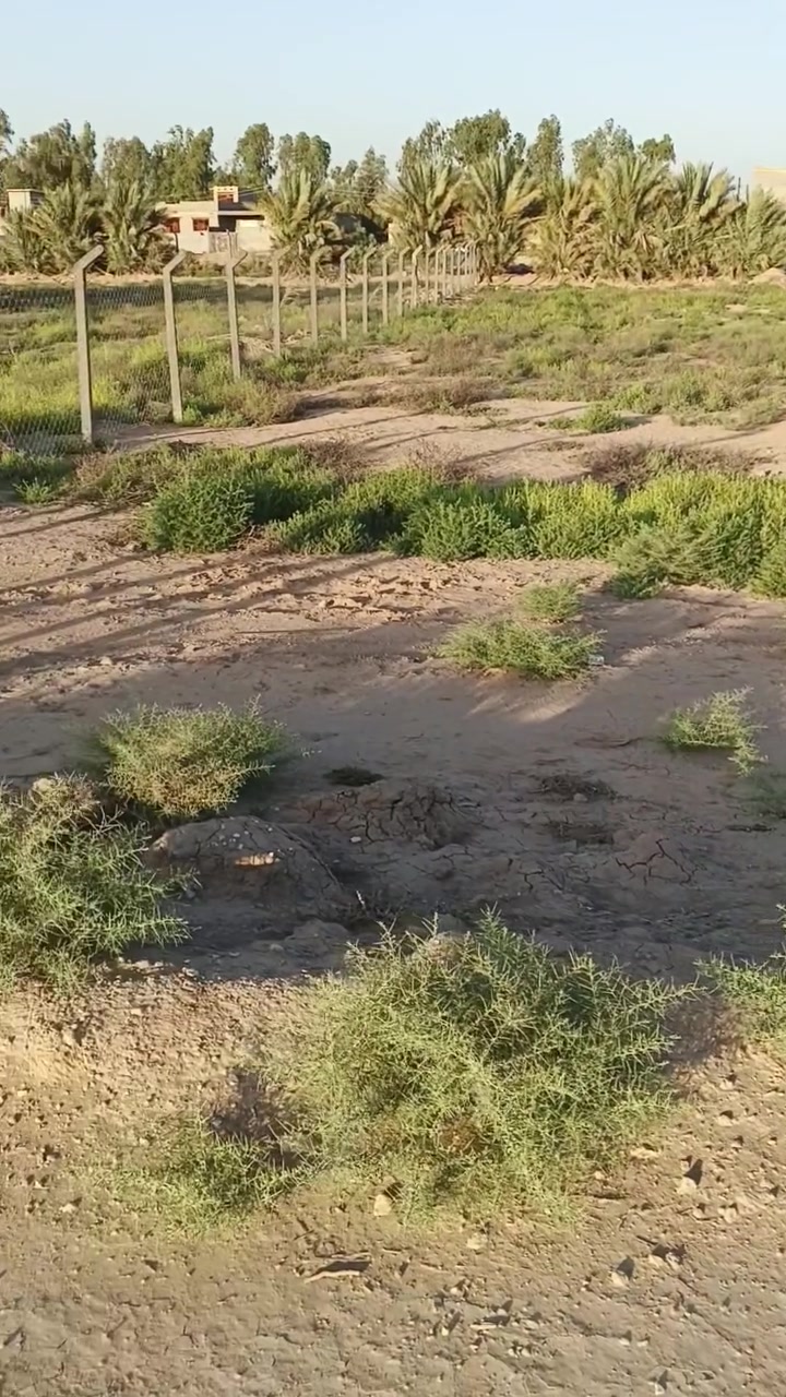 كربلاء طويريج ناحية الرجيبة 
***********
