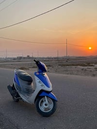 ماكس منغولي • ٤٩ • المحاويل